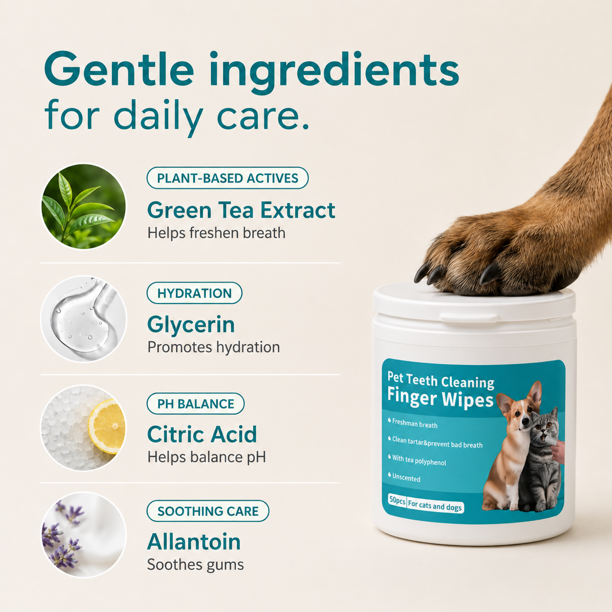 Anti-tartar Dental Wipes