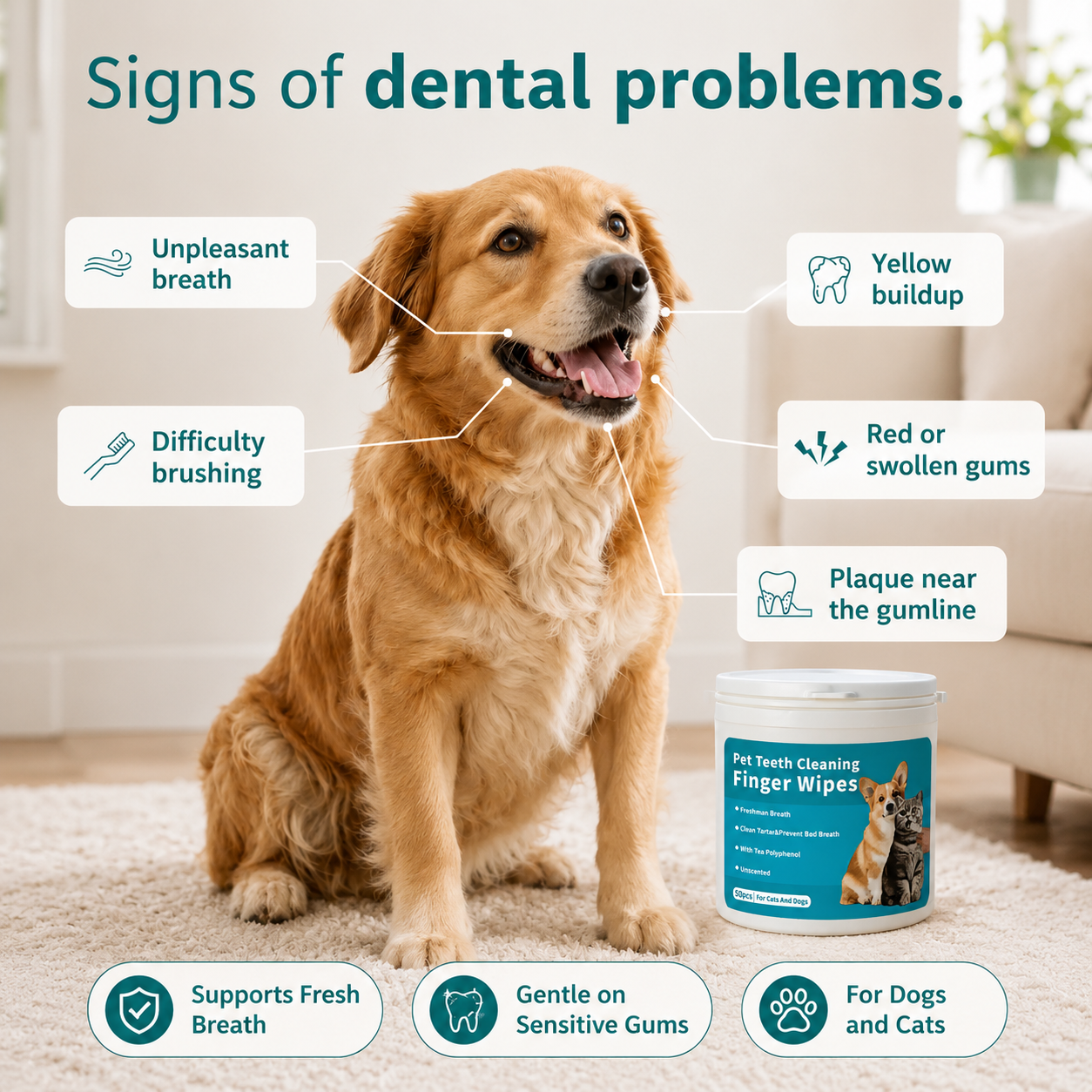 Anti-tartar Dental Wipes