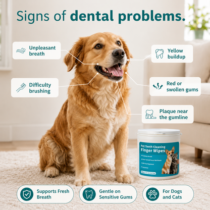 Anti-tartar Dental Wipes