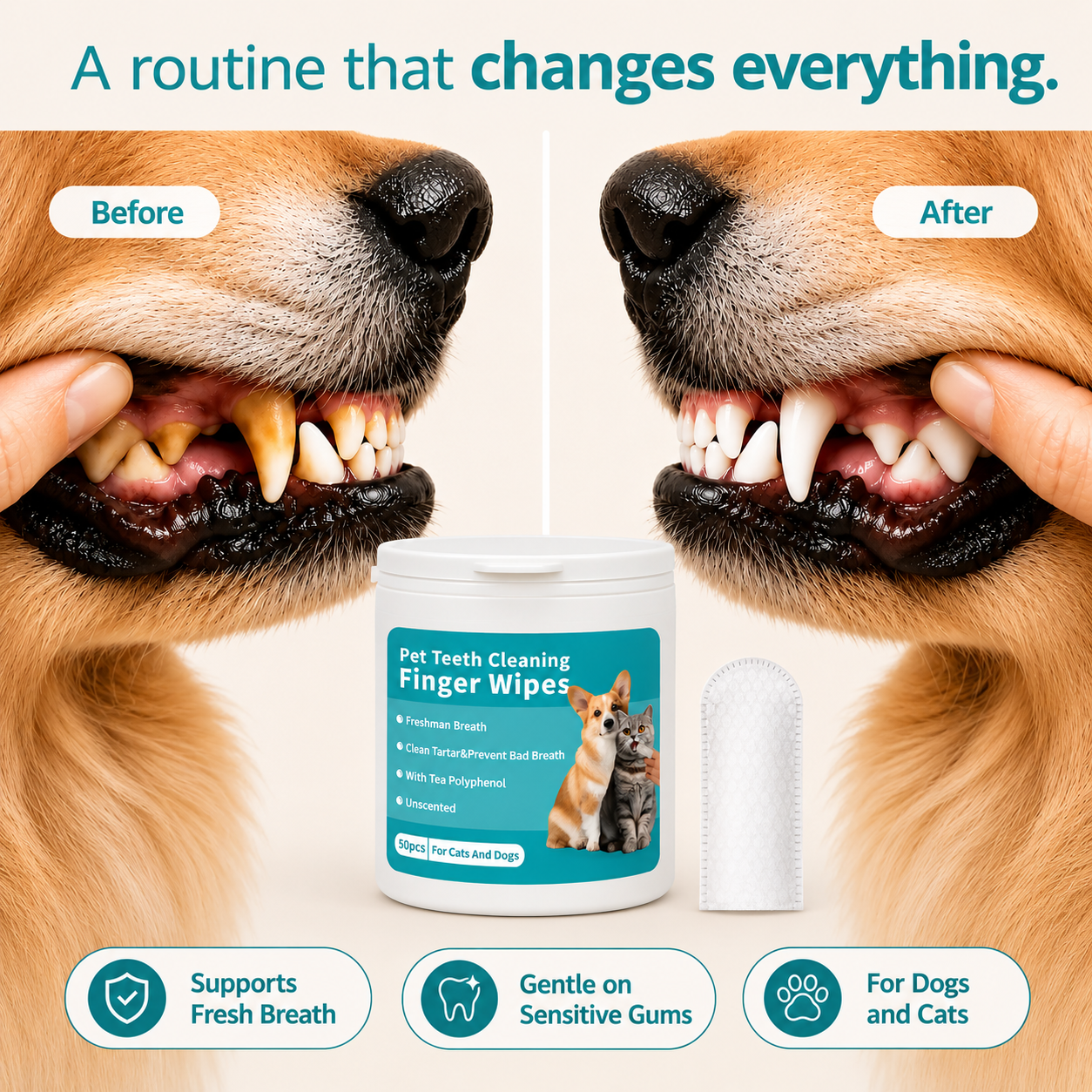 Anti-tartar Dental Wipes