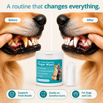 Anti-tartar Dental Wipes